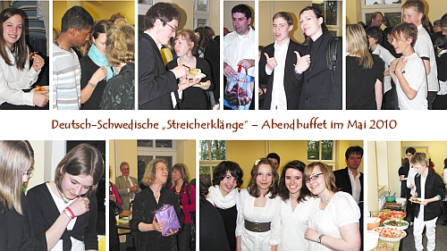 Deutsch-Schwedische Streicherkl&auml;nge Mai 2010