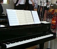 Beim Fl&uuml;gel liegen die Stahlsaiten -im Unterschied zum aufrechten Piano-  waagerecht