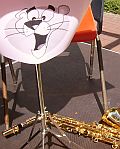 `Pink Panther` in Schleswig ...
